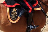 during Trooping the Colour {iptcyear4}, The Queen's Birthday Parade at Horse Guards Parade, Westminster, London, 9 June 2018, 12:01.
