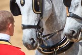 during Trooping the Colour {iptcyear4}, The Queen's Birthday Parade at Horse Guards Parade, Westminster, London, 9 June 2018, 12:13.