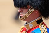 during Trooping the Colour {iptcyear4}, The Queen's Birthday Parade at Horse Guards Parade, Westminster, London, 9 June 2018, 12:15.