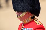 during Trooping the Colour {iptcyear4}, The Queen's Birthday Parade at Horse Guards Parade, Westminster, London, 9 June 2018, 12:15.