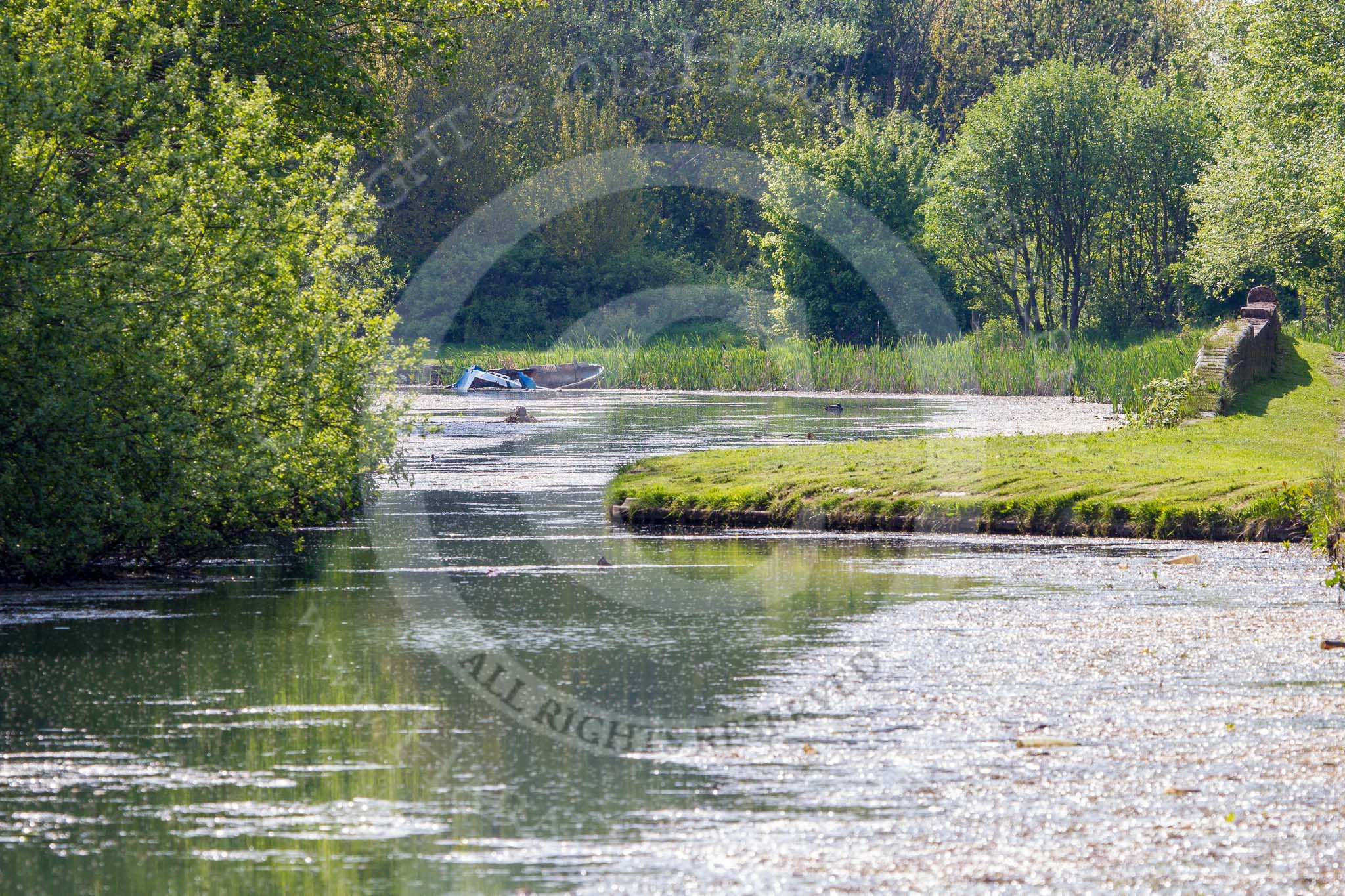 BCN Marathon Challenge 2013: An old basin at the site of the former GKN Sankey Ltd, next to Glasshouse Bridge on the Bradley Branch..
Birmingham Canal Navigation,


United Kingdom,
on 25 May 2013 at 16:49, image #247