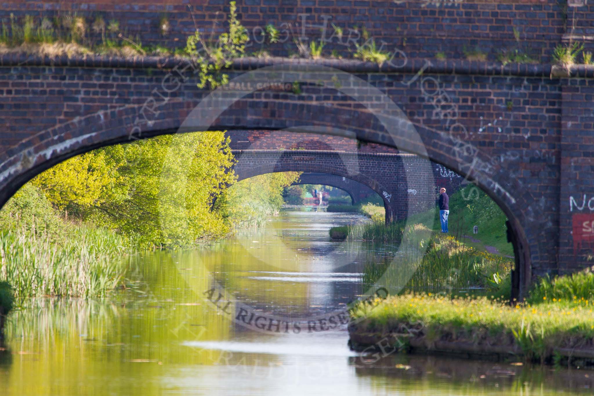 BCN Marathon Challenge 2013: Three bridges in a row on the Cannock Extension Canal - Walsall Common, Pelsall Common, and Green Bridge..
Birmingham Canal Navigation,


United Kingdom,
on 26 May 2013 at 08:15, image #364