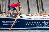 TOW River Thames Barge Driving Race 2013: Rowers working hard on board of barge "Benjamin", by London Party Boats..
River Thames between Greenwich and Westminster,
London,

United Kingdom,
on 13 July 2013 at 12:47, image #214