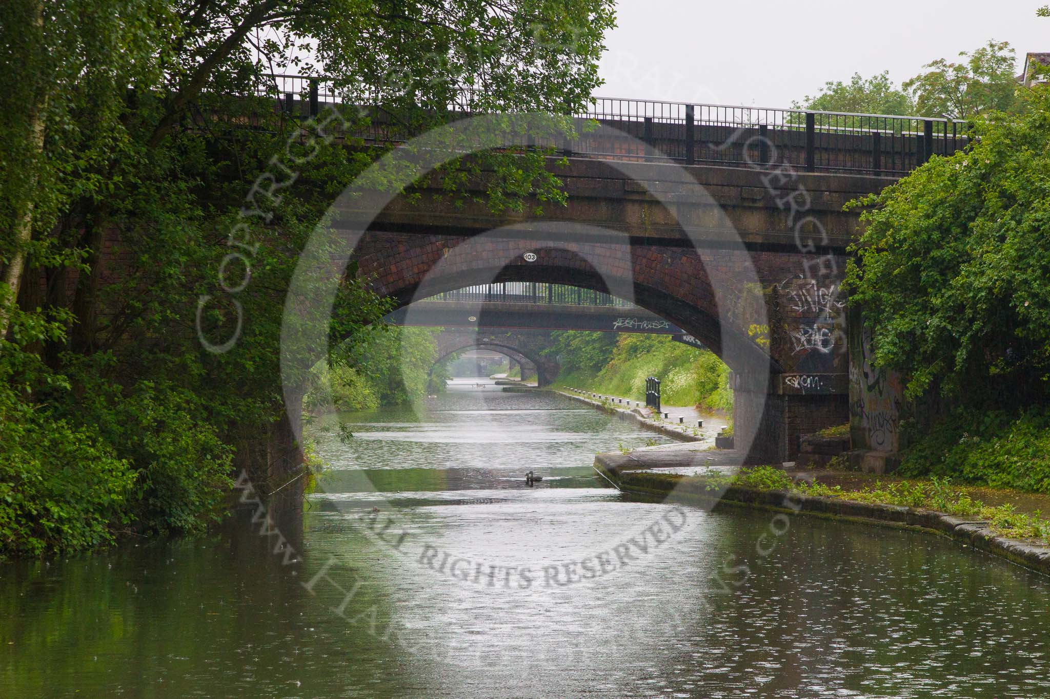 BCN Marathon Challenge 2014: There are five bridges in the line of view on the Grand Union Canal between Garrison Locks and Bordesley Junction.
Birmingham Canal Navigation,


United Kingdom,
on 24 May 2014 at 09:18, image #83