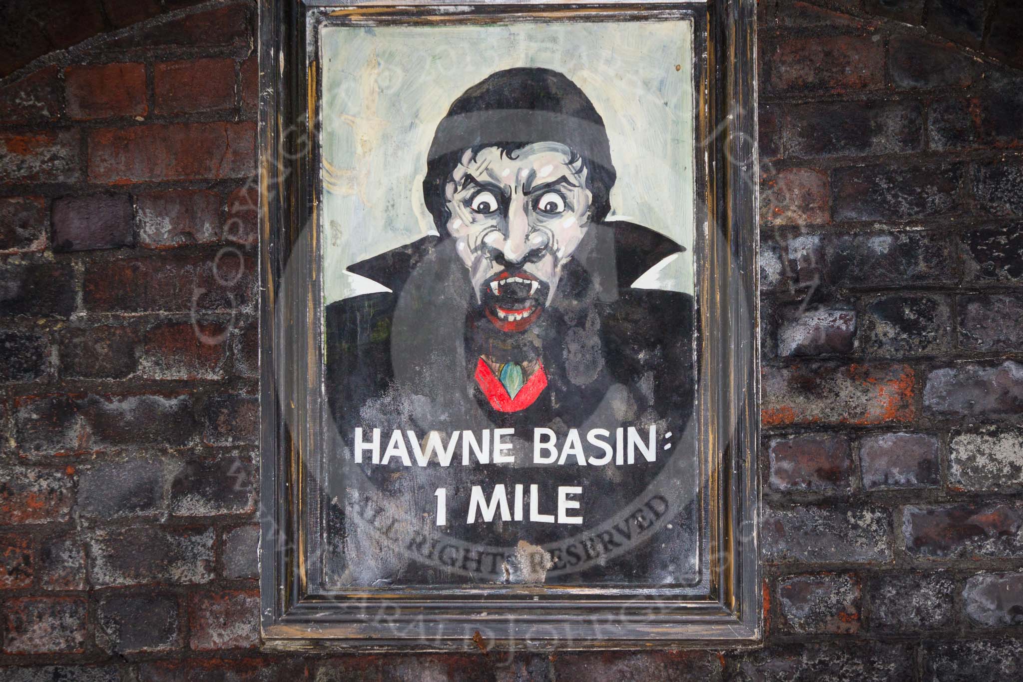 BCN Marathon Challenge 2014: Framed (!) Dracula painting in Gosty Hill Tunnel on the Dudley No 2 Canal.
Birmingham Canal Navigation,


United Kingdom,
on 24 May 2014 at 22:46, image #187