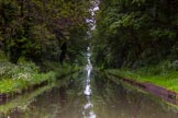 BCN Marathon Challenge 2014: The Tame Valley Canal, as one of the last parts of the BCN to be built, has a dead straight summit level. The embankment is followed by a deep cutting..
Birmingham Canal Navigation,


United Kingdom,
on 24 May 2014 at 14:43, image #132