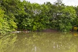 BCN Marathon Challenge 2014: Former wharf at the site of Netherton Iron Works on the Dudley No 2 Canal between Primrose Bridge and Bishtons Bridge.
Birmingham Canal Navigation,


United Kingdom,
on 25 May 2014 at 10:24, image #225