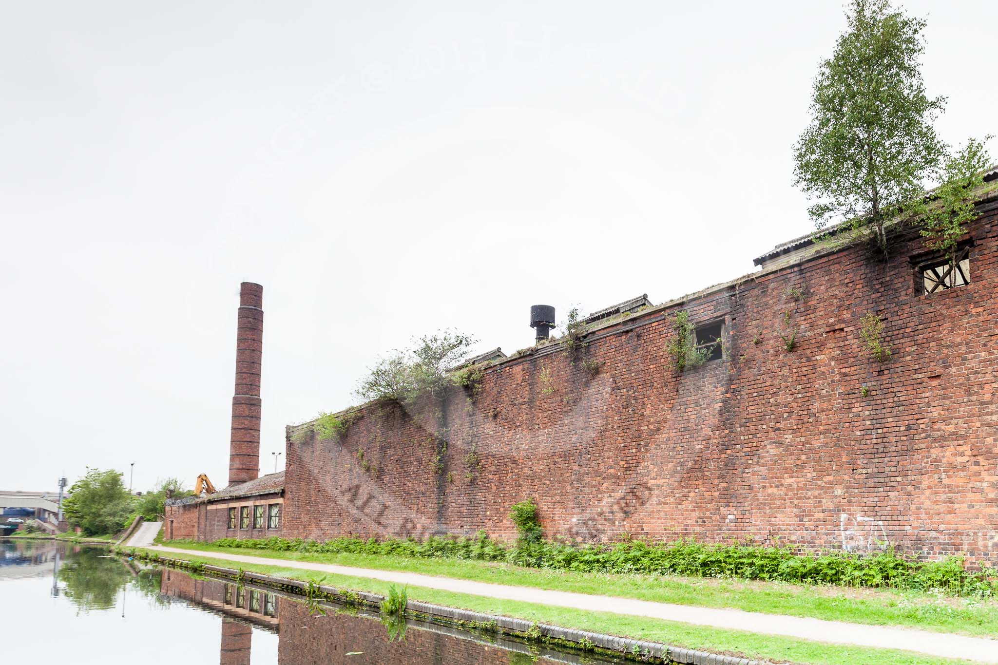 BCN 24h Marathon Challenge 2015: Trees growing out of the wall of an old factory. BCN New Main Line between Avery Rail Bridge and Rabobe Lane Bridge.
Birmingham Canal Navigations,



on 23 May 2015 at 10:00, image #48