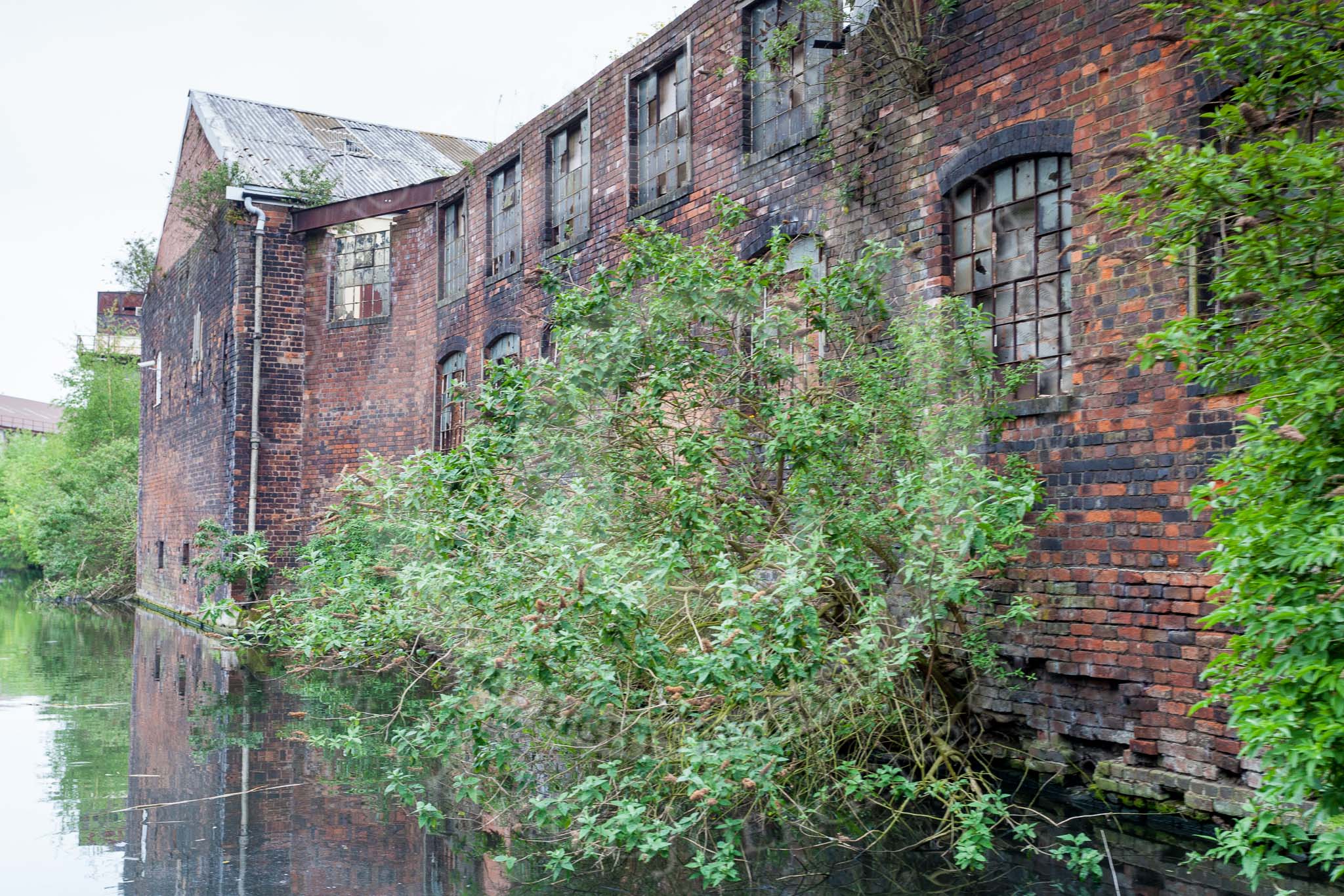 BCN 24h Marathon Challenge 2015: Trees growing out of the walls of an old factory on the BCN Engine Arm.
Birmingham Canal Navigations,



on 23 May 2015 at 10:43, image #70
