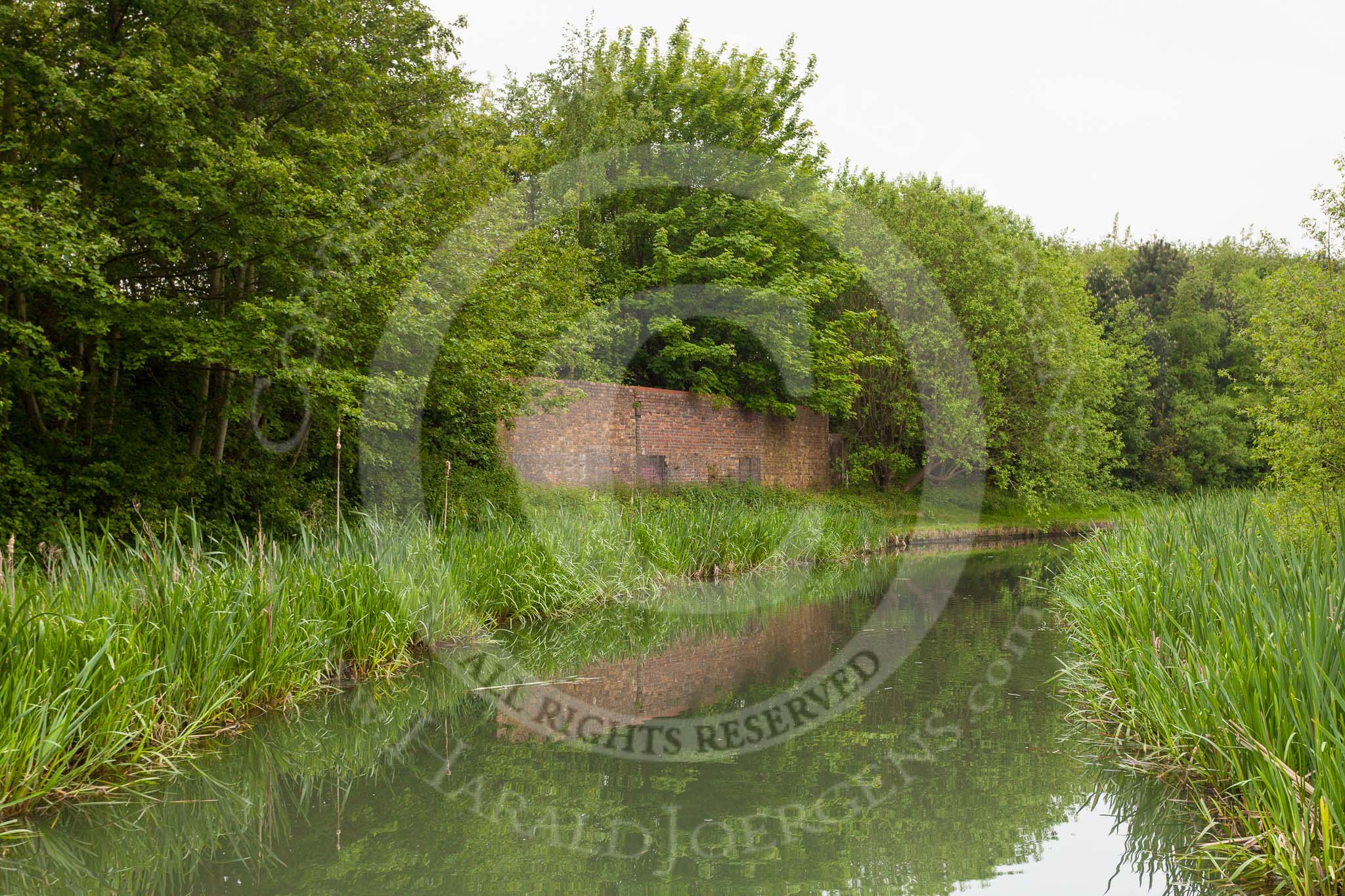 BCN 24h Marathon Challenge 2015: Overgrown remains of an industrial structure on the BCN Main Line neear Millfields Road.
Birmingham Canal Navigations,



on 24 May 2015 at 08:57, image #178