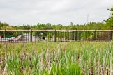 BCN 24h Marathon Challenge 2015: James Bridge Aqueduct on the Walsall Canal over the young River Tame.
Birmingham Canal Navigations,



on 23 May 2015 at 16:57, image #138