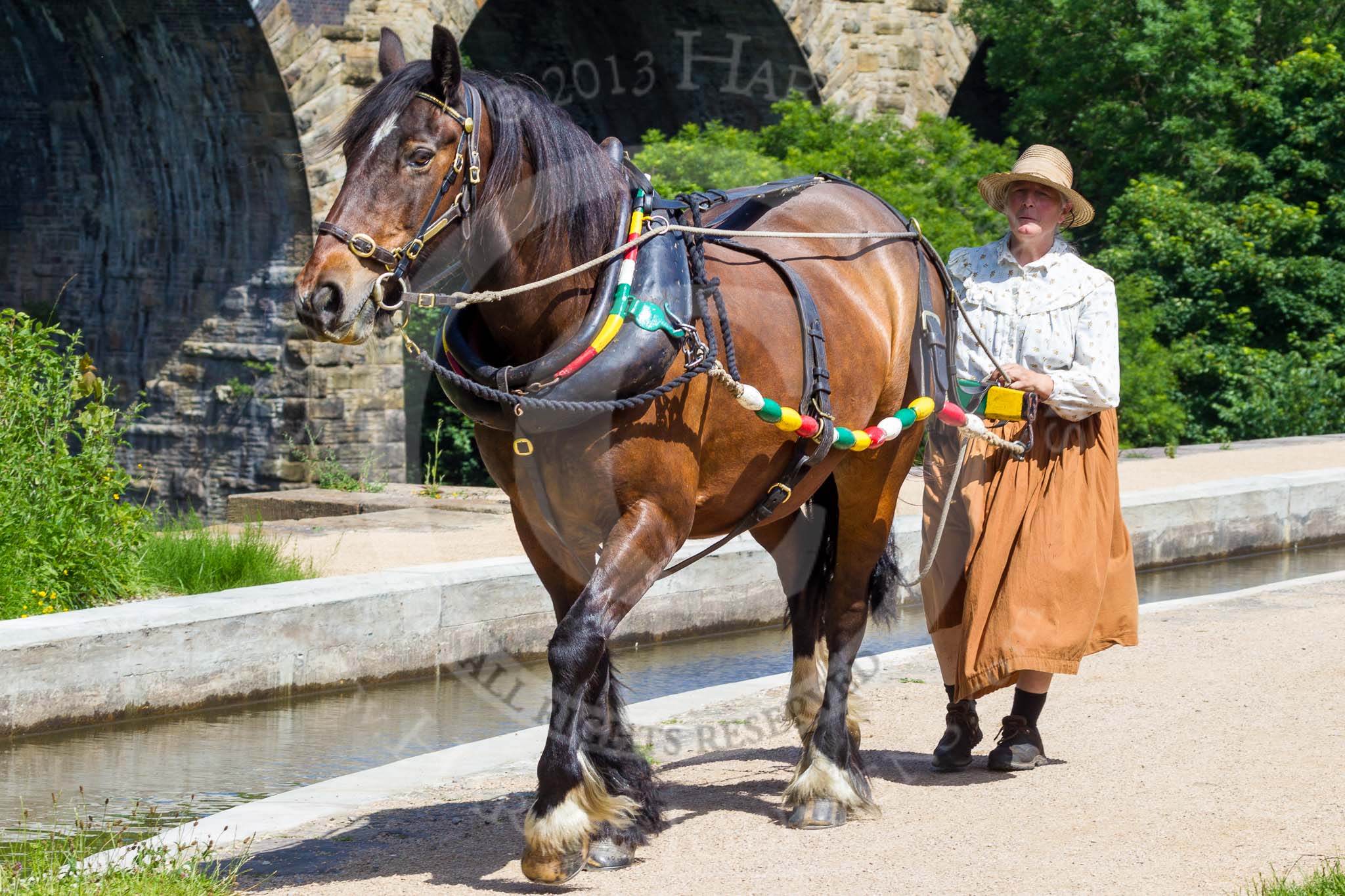 : Sue Day (Horseboating Society) leading boat horse Bilbo over Marple Aqueduct towards butty Maria, to start the journey up the Marple locks.




on 03 July 2015 at 14:45, image #22