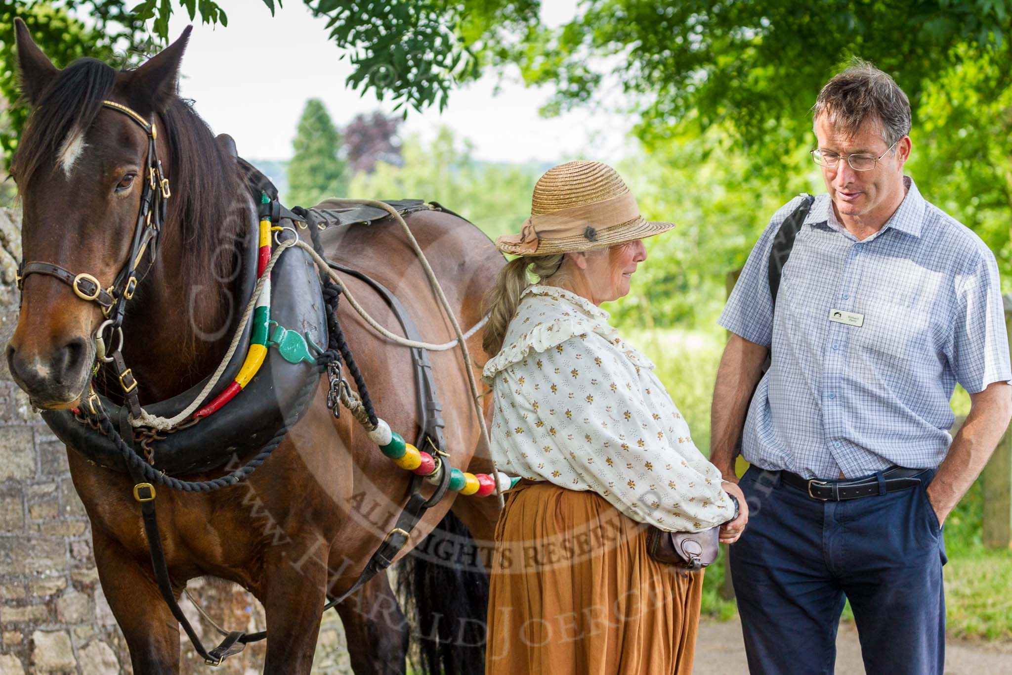 : CRT's Richard Parry and Horseboat Association's Sue Day with boat horse Bilbo.




on 03 July 2015 at 17:35, image #80