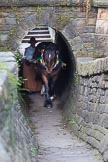 : Sue Day (Horseboating Society) with horse Bilbo walking through the horse tunnel of Marple lock 13..




on 03 July 2015 at 17:42, image #82