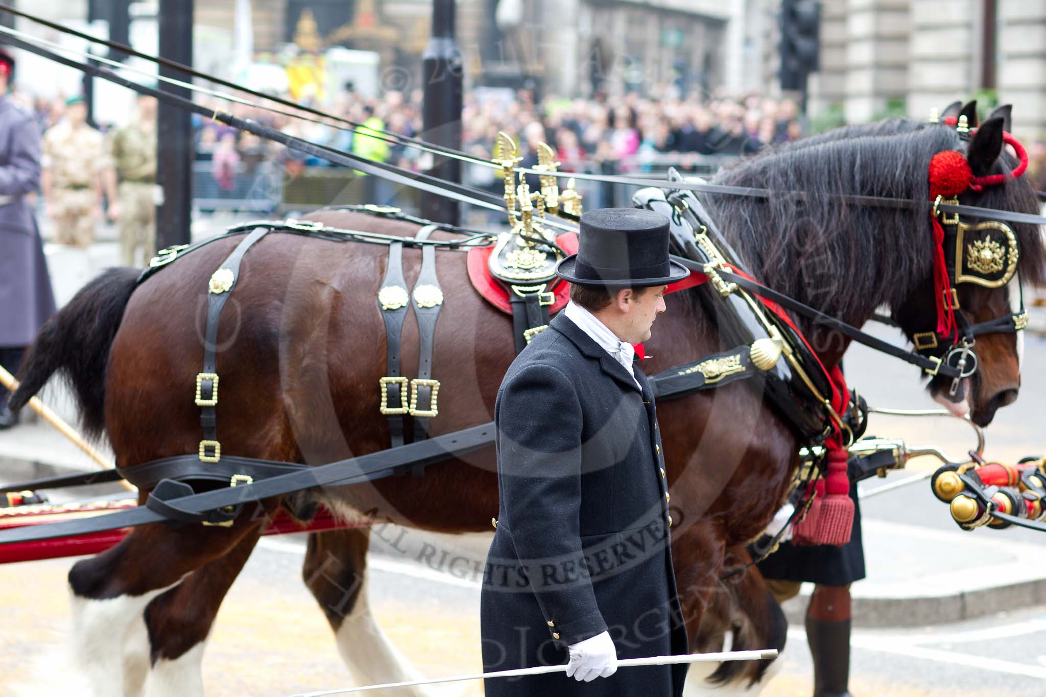 The Lord Mayor's Show 2011: The first two of the six shire horses pulling the state coach in which the new Lord Mayor arrives..
Opposite Mansion House, City of London,
London,
-,
United Kingdom,
on 12 November 2011 at 10:51, image #36