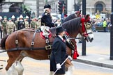 The Lord Mayor's Show 2011: The first two of the six shire horses pulling the state coach in which the new Lord Mayor arrives. Elspeth Ross of http://www.waldburgshires.co.uk who supply the six horses to draw the State Carriage (since 2007) with walking grooms..
Opposite Mansion House, City of London,
London,
-,
United Kingdom,
on 12 November 2011 at 10:51, image #35