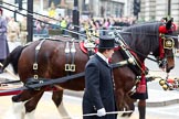 Photo 111112_105129_1D4_7640HaraldJoergens_ The Lord Mayor's Show 2011: The first two of the six shire horses pulling the state coach in which the new Lord Mayor arrives..
Opposite Mansion House, City of London,
London,
-,
United Kingdom,
on 12 November 2011 at 10:51, image #36