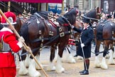 The Lord Mayor's Show 2011: Four of the six shire horses that pull the stage coach in which the new Lord Mayor travels during the show, here on arrival at Mansion House..
Opposite Mansion House, City of London,
London,
-,
United Kingdom,
on 12 November 2011 at 10:52, image #44