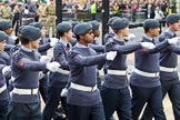 The Lord Mayor's Show 2011: The Air Traing Corps Band..
Opposite Mansion House, City of London,
London,
-,
United Kingdom,
on 12 November 2011 at 11:18, image #207