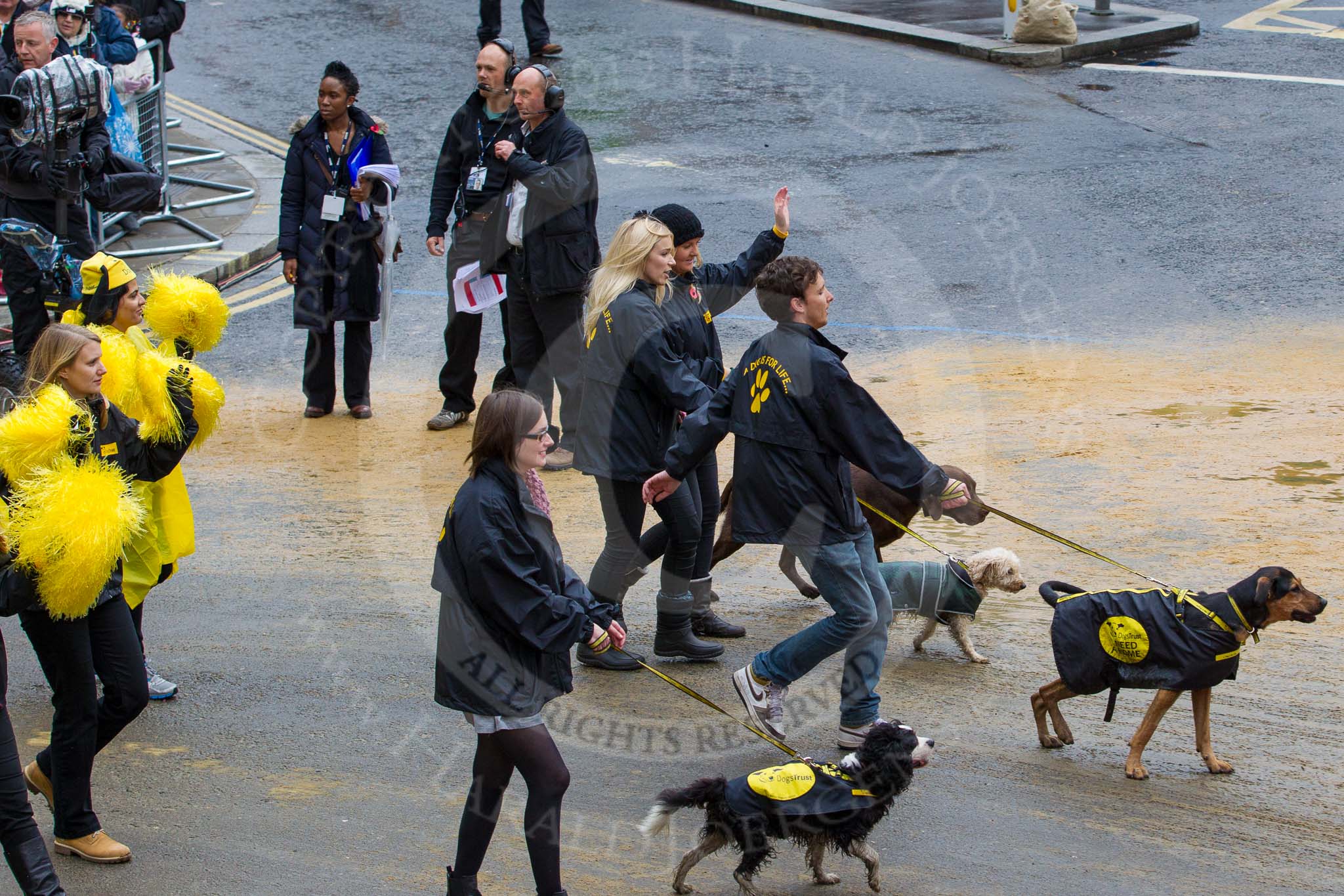 Lord Mayor's Show 2012: Entry 114 - Dogs Trust..
Press stand opposite Mansion House, City of London,
London,
Greater London,
United Kingdom,
on 10 November 2012 at 11:57, image #1646