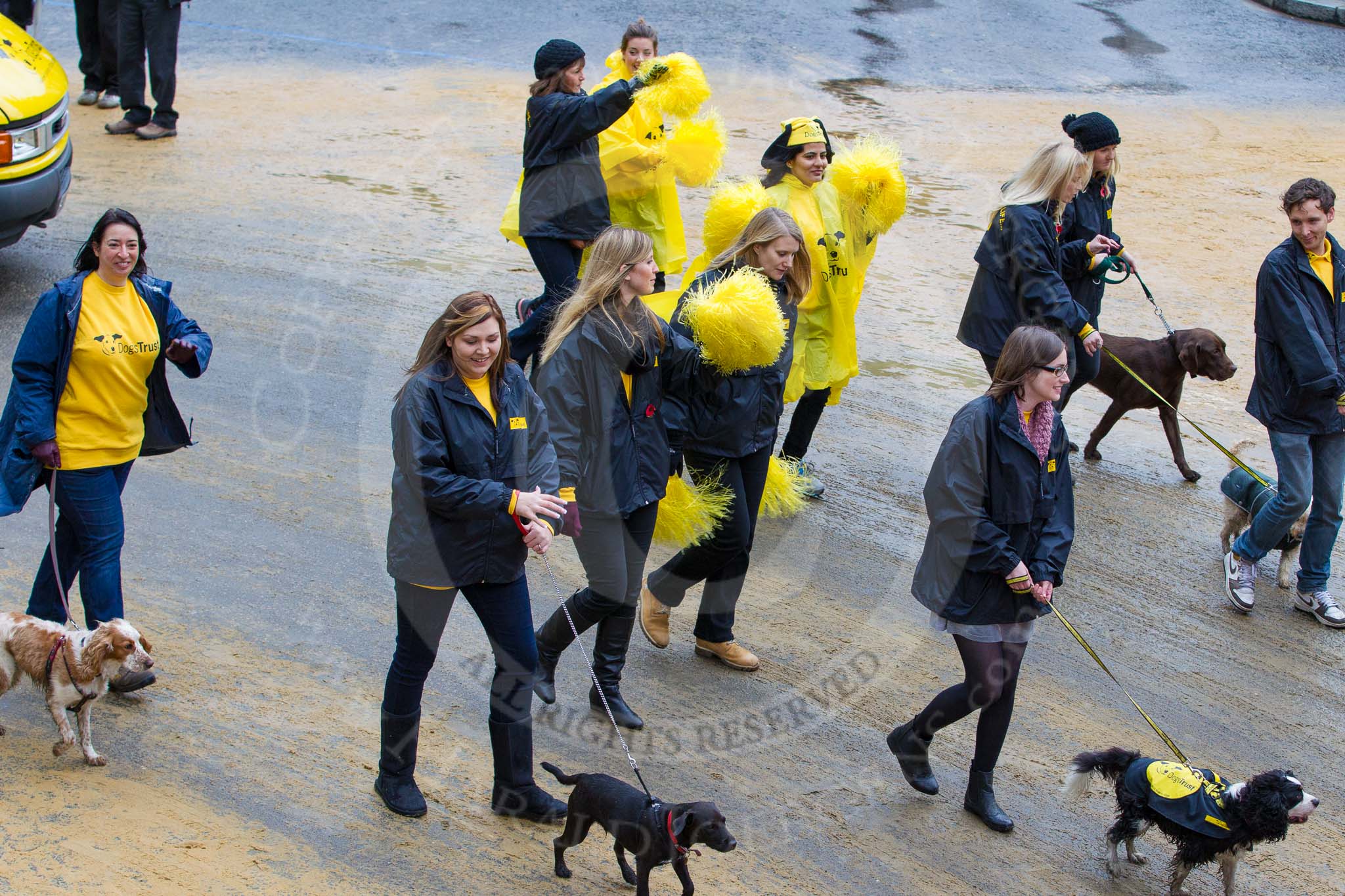 Lord Mayor's Show 2012: Entry 114 - Dogs Trust..
Press stand opposite Mansion House, City of London,
London,
Greater London,
United Kingdom,
on 10 November 2012 at 11:57, image #1649