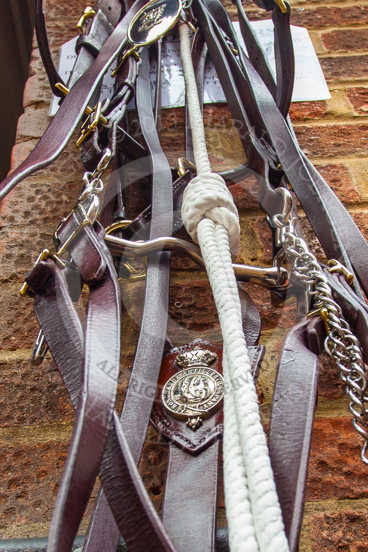 The Light Cavalry HAC Annual Review and Inspection 2013.
Flemish Farm, Windsor Great Park,
Windsor,
Berkshire,
United Kingdom,
on 09 June 2013 at 09:29, image #29