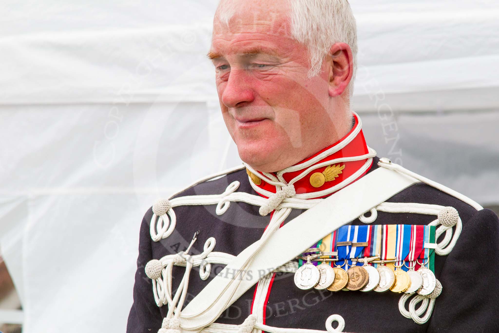 The Light Cavalry HAC Annual Review and Inspection 2013.
Windsor Great Park Review Ground,
Windsor,
Berkshire,
United Kingdom,
on 09 June 2013 at 12:04, image #151