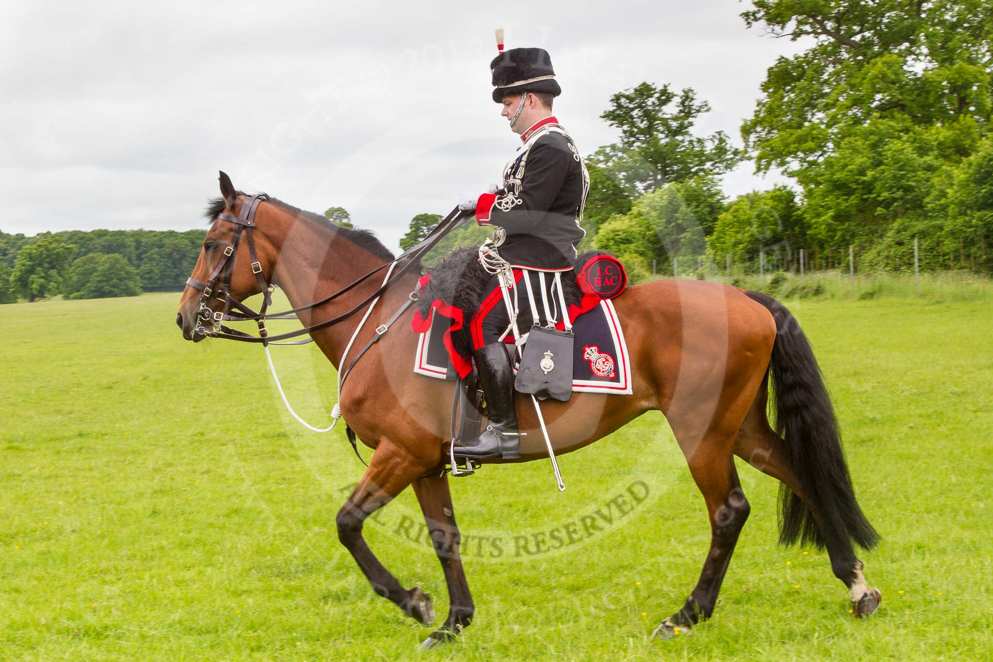 The Light Cavalry HAC Annual Review and Inspection 2013.
Windsor Great Park Review Ground,
Windsor,
Berkshire,
United Kingdom,
on 09 June 2013 at 12:37, image #233