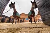 The Light Cavalry HAC Annual Review and Inspection 2013.
Flemish Farm, Windsor Great Park,
Windsor,
Berkshire,
United Kingdom,
on 09 June 2013 at 08:28, image #2