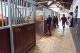 The Light Cavalry HAC Annual Review and Inspection 2013.
Flemish Farm, Windsor Great Park,
Windsor,
Berkshire,
United Kingdom,
on 09 June 2013 at 08:45, image #10