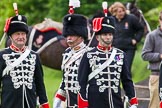 The Light Cavalry HAC Annual Review and Inspection 2013.
Windsor Great Park Review Ground,
Windsor,
Berkshire,
United Kingdom,
on 09 June 2013 at 12:31, image #205