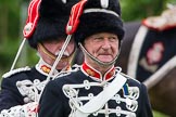 The Light Cavalry HAC Annual Review and Inspection 2013.
Windsor Great Park Review Ground,
Windsor,
Berkshire,
United Kingdom,
on 09 June 2013 at 12:31, image #206