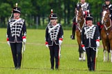 The Light Cavalry HAC Annual Review and Inspection 2013.
Windsor Great Park Review Ground,
Windsor,
Berkshire,
United Kingdom,
on 09 June 2013 at 13:02, image #276