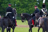 The Light Cavalry HAC Annual Review and Inspection 2013.
Windsor Great Park Review Ground,
Windsor,
Berkshire,
United Kingdom,
on 09 June 2013 at 13:26, image #349