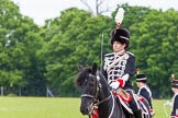 The Light Cavalry HAC Annual Review and Inspection 2013.
Windsor Great Park Review Ground,
Windsor,
Berkshire,
United Kingdom,
on 09 June 2013 at 13:40, image #484