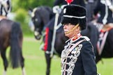 The Light Cavalry HAC Annual Review and Inspection 2013.
Windsor Great Park Review Ground,
Windsor,
Berkshire,
United Kingdom,
on 09 June 2013 at 13:41, image #487