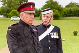 The Light Cavalry HAC Annual Review and Inspection 2013.
Windsor Great Park Review Ground,
Windsor,
Berkshire,
United Kingdom,
on 09 June 2013 at 14:19, image #505