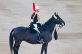 Beating Retreat 2014.
Horse Guards Parade, Westminster,
London SW1A,

United Kingdom,
on 11 June 2014 at 20:42, image #169