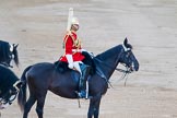 Beating Retreat 2014.
Horse Guards Parade, Westminster,
London SW1A,

United Kingdom,
on 11 June 2014 at 20:42, image #170