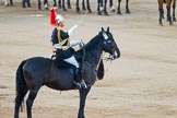 Beating Retreat 2014.
Horse Guards Parade, Westminster,
London SW1A,

United Kingdom,
on 11 June 2014 at 20:49, image #204