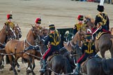 Beating Retreat 2014.
Horse Guards Parade, Westminster,
London SW1A,

United Kingdom,
on 11 June 2014 at 20:50, image #210