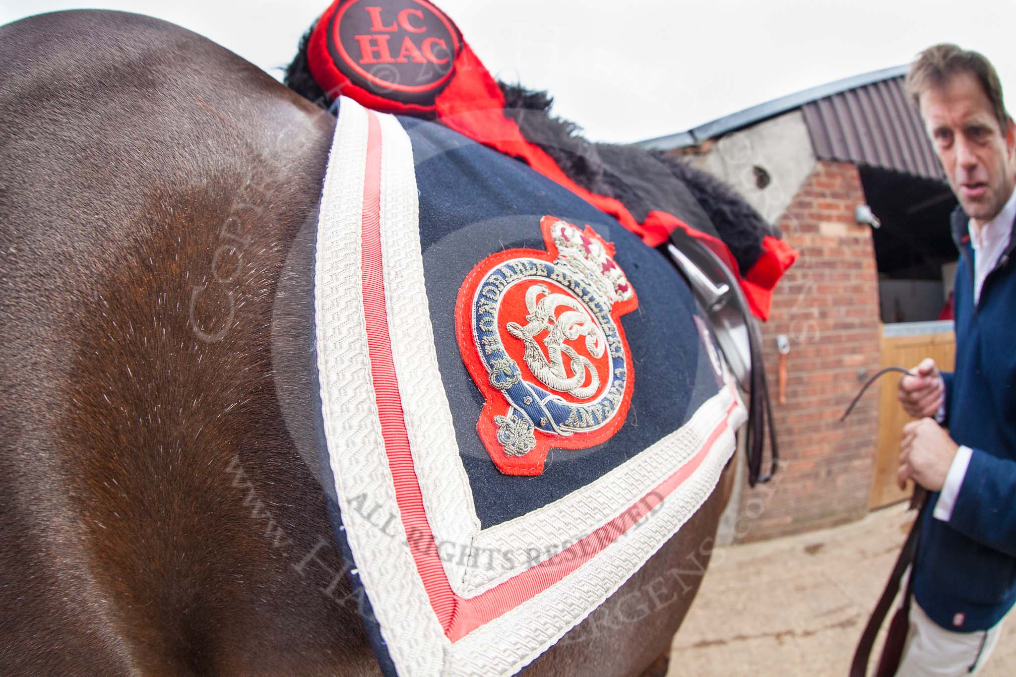 The Light Cavalry HAC Annual Review and Inspection 2014.
Flemish Farm, Windsor Great Park,



on 12 October 2014 at 09:46, image #12