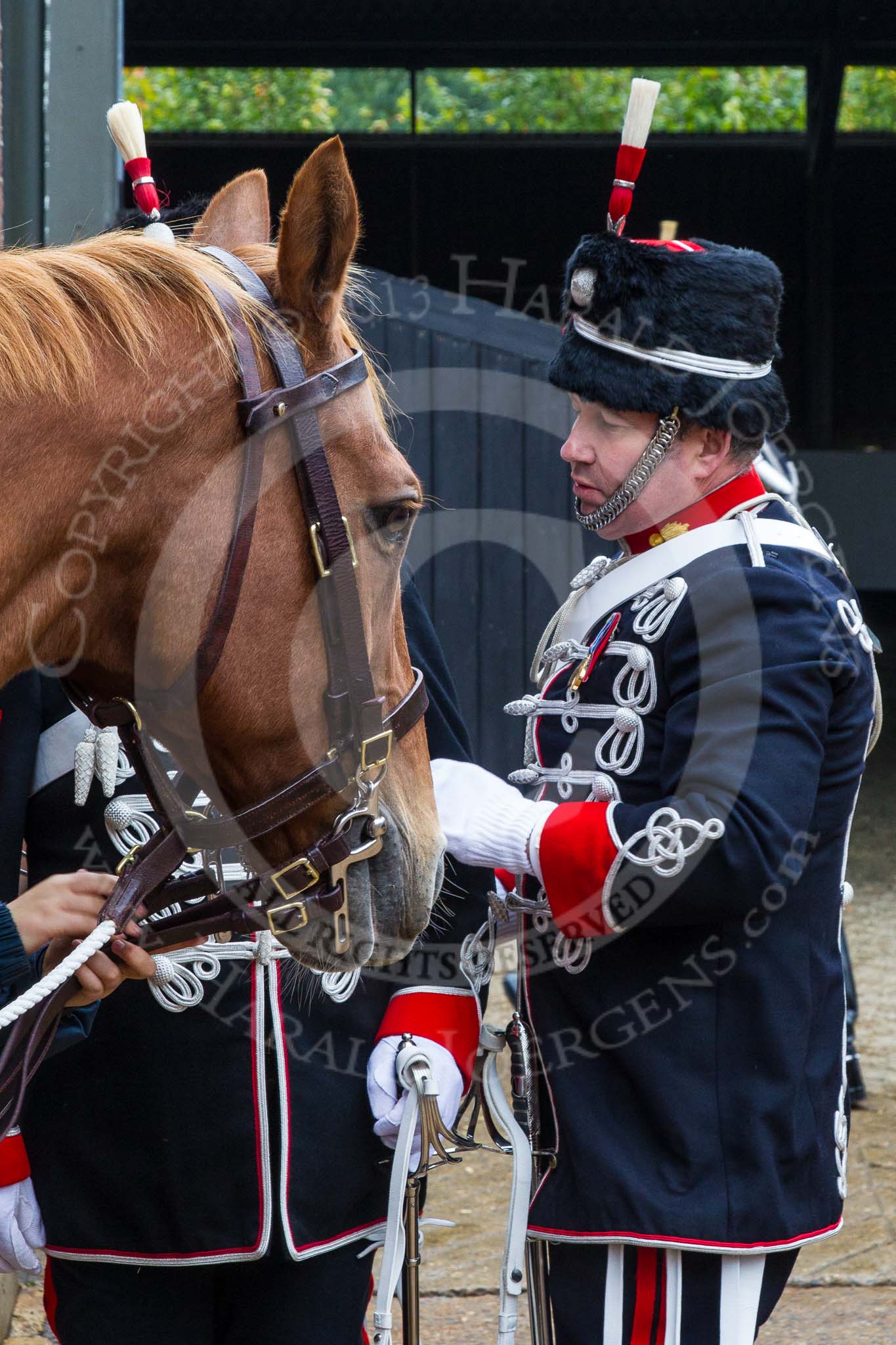 The Light Cavalry HAC Annual Review and Inspection 2014.
Flemish Farm, Windsor Great Park,



on 12 October 2014 at 10:18, image #26