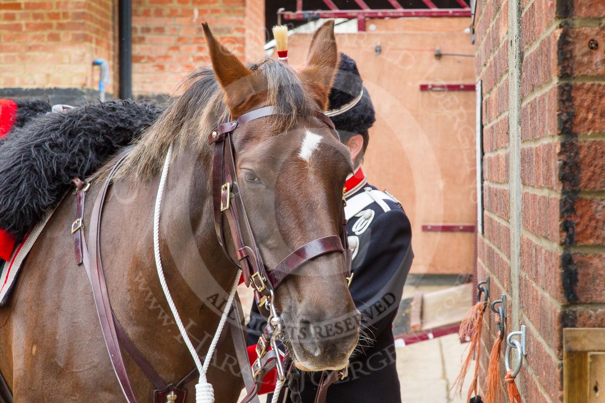 The Light Cavalry HAC Annual Review and Inspection 2014.
Flemish Farm, Windsor Great Park,



on 12 October 2014 at 10:19, image #27