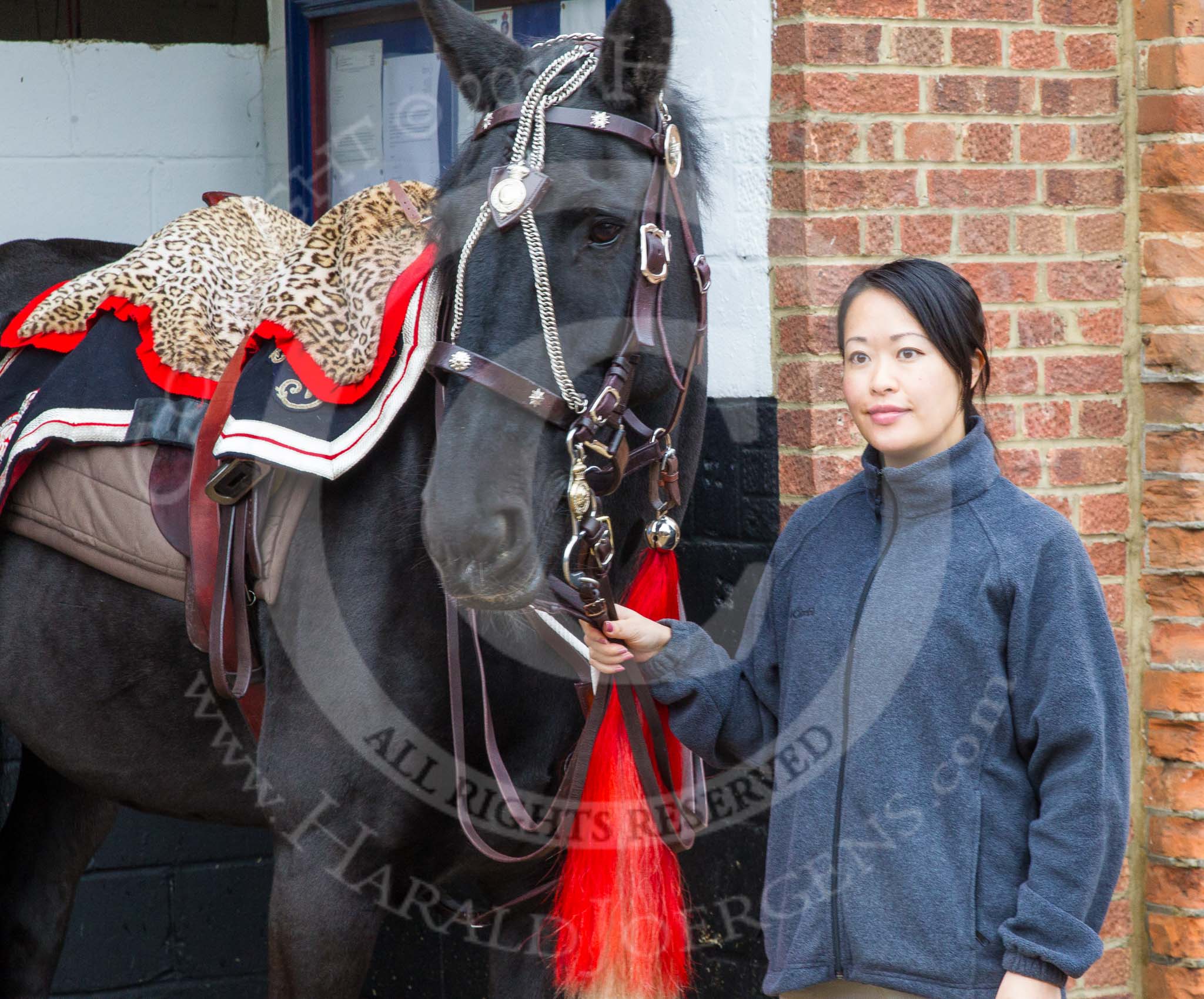 The Light Cavalry HAC Annual Review and Inspection 2014.
Flemish Farm, Windsor Great Park,



on 12 October 2014 at 10:19, image #28