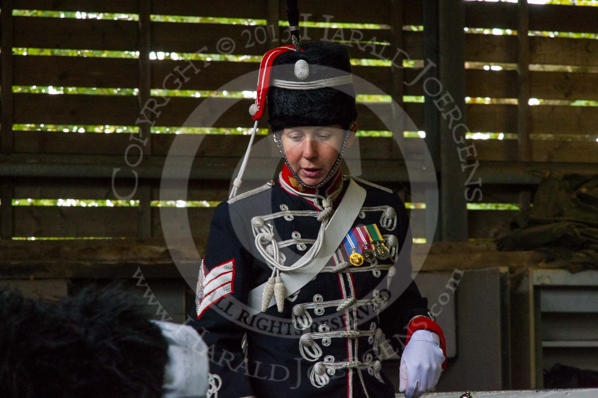 The Light Cavalry HAC Annual Review and Inspection 2014.
Flemish Farm, Windsor Great Park,



on 12 October 2014 at 10:26, image #33
