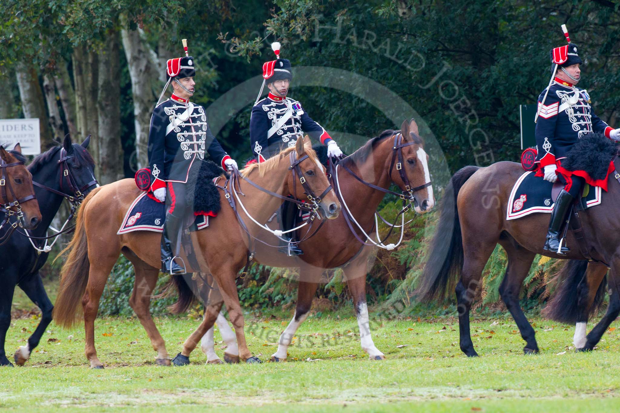 The Light Cavalry HAC Annual Review and Inspection 2014.
Guards Polo Club. Windsor Great Park,



on 12 October 2014 at 12:25, image #61
