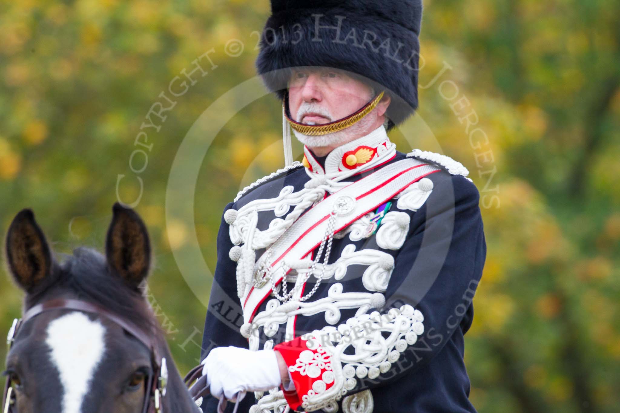 The Light Cavalry HAC Annual Review and Inspection 2014.
Guards Polo Club. Windsor Great Park,



on 12 October 2014 at 12:39, image #78