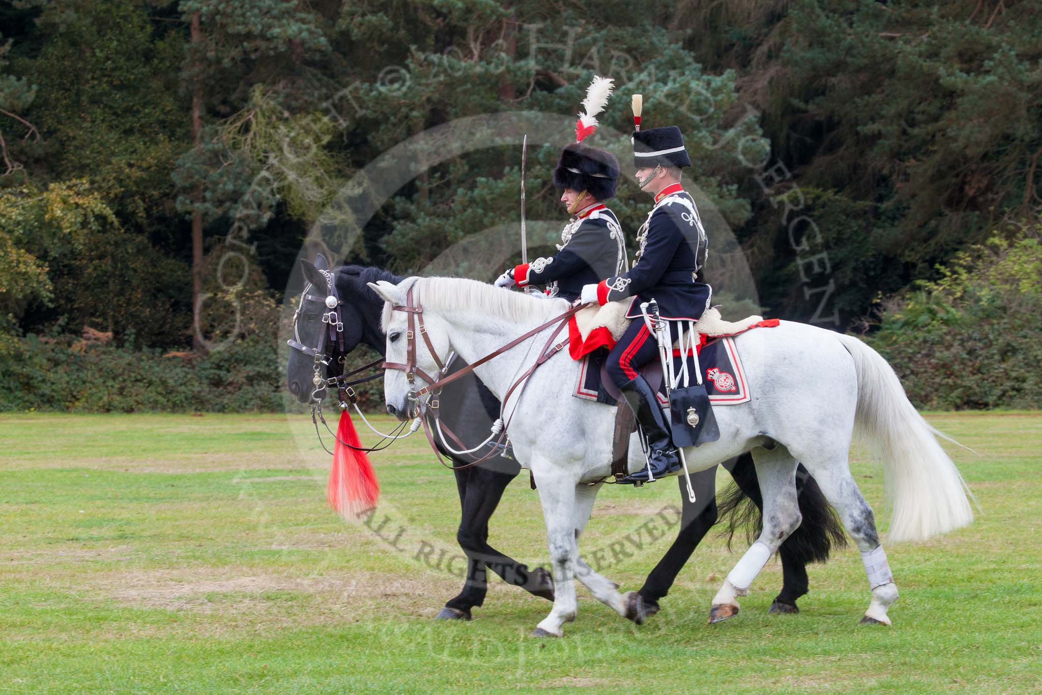 The Light Cavalry HAC Annual Review and Inspection 2014.
Guards Polo Club. Windsor Great Park,



on 12 October 2014 at 13:01, image #149