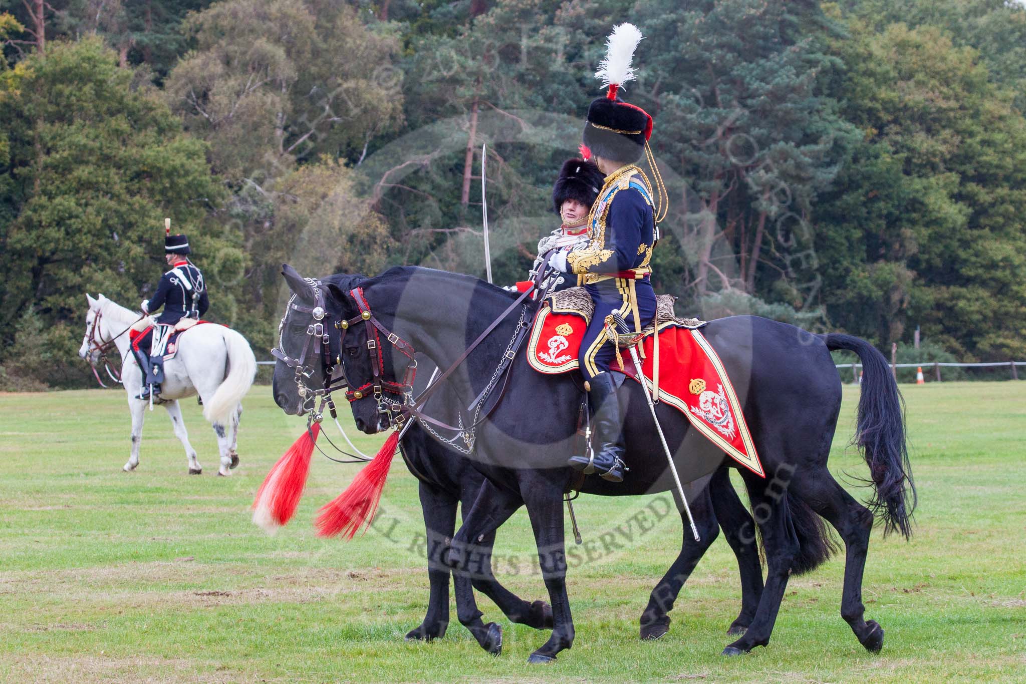 The Light Cavalry HAC Annual Review and Inspection 2014.
Guards Polo Club. Windsor Great Park,



on 12 October 2014 at 13:12, image #207